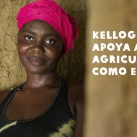 Cereales comprometidos con el cambio climático Cereales comprometidos con el cambio climático