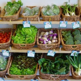 El crecimiento de la agricultura ecológica El crecimiento de la agricultura ecológica