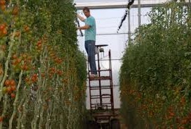 La colaboración, clave para ganar en competitividad agraria La colaboración, clave para ganar en competitividad agraria