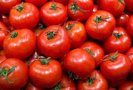 Andalucía aumenta su producción de tomates Andalucía aumenta su producción de tomates