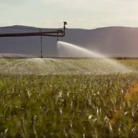 Reutilización del agua para riego agrícola: el Consejo europeo adopta nuevas normas