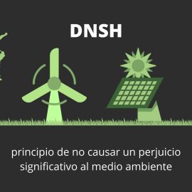 El principio DNSH