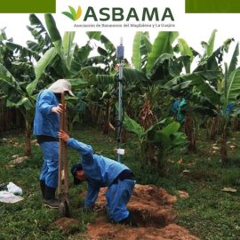 BrioAgro introduce el riego inteligente en el Banano de Colombia